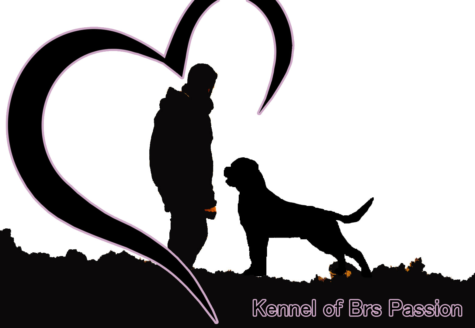 Brs Passion Kennel